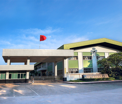 分公司简介